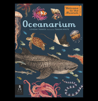 Oceanarium - Paxton Gate
