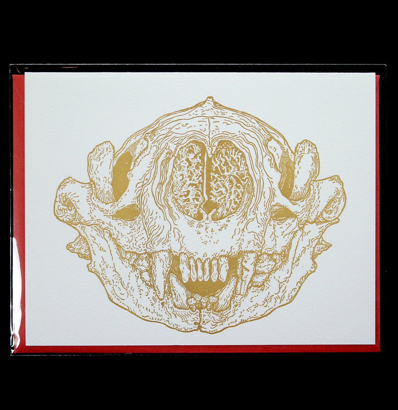 Sea Otter Skull Greeting Card - Paxton Gate