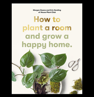 How To Plant a Room - Paxton Gate