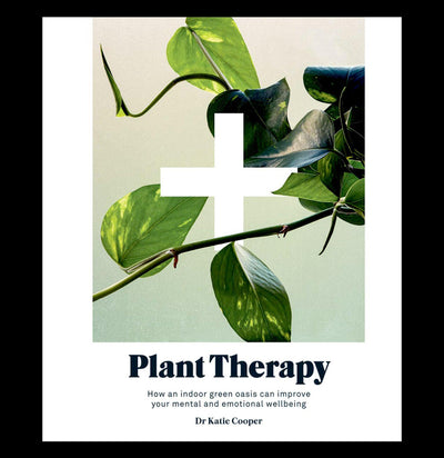 Plant Therapy - Paxton Gate