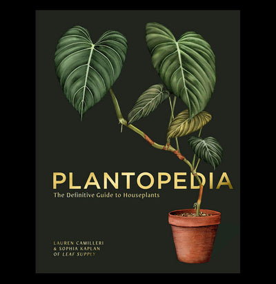 Plantopedia: The Definitive Guide to Houseplants - Paxton Gate