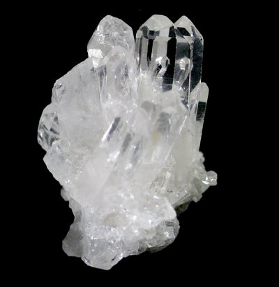 Clear Quartz Crystal Cluster - Paxton Gate
