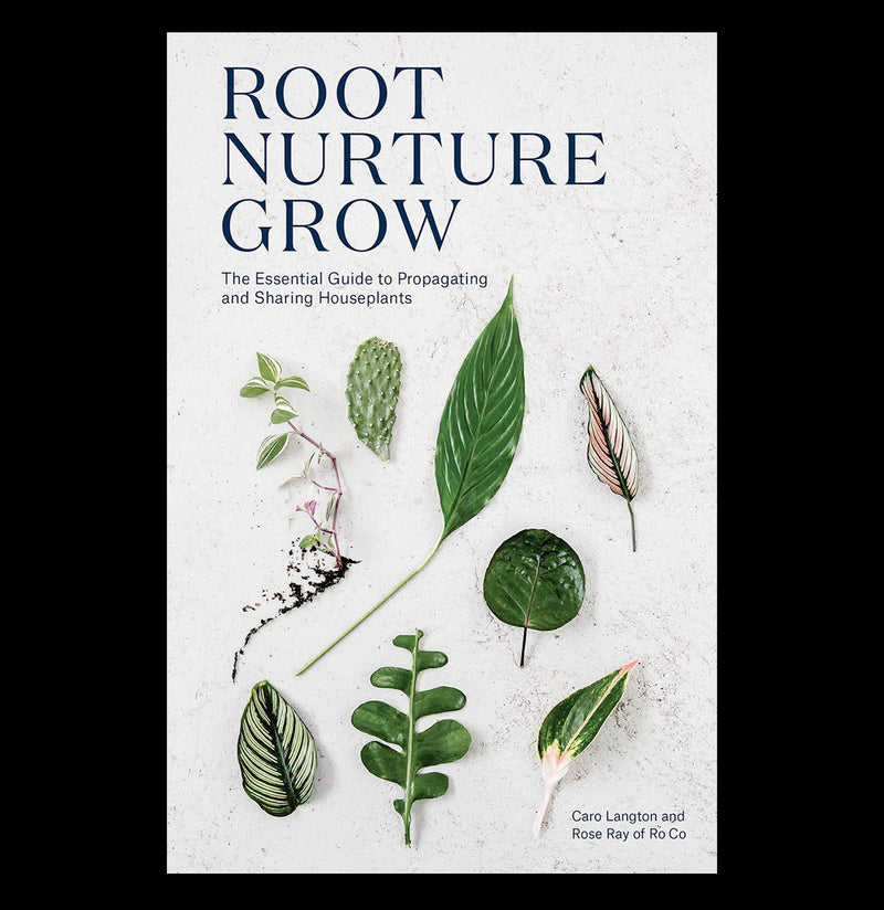 Root, Nurture, Grow - Paxton Gate