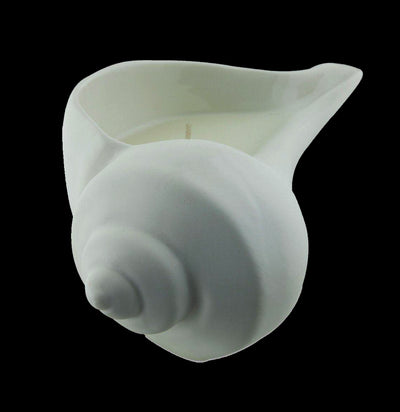 Sea Shell Candle - Paxton Gate