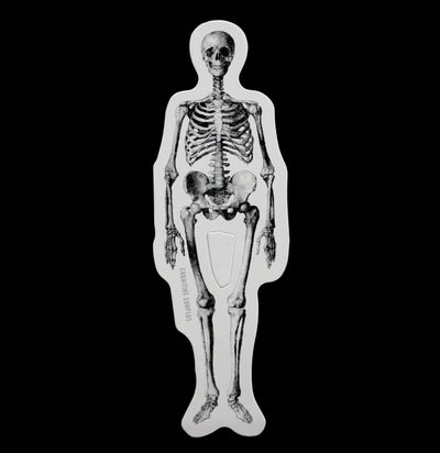 Human Skeleton Sticker - Paxton Gate
