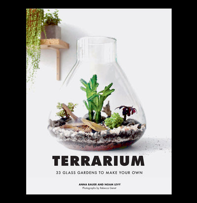 Terrarium: 33 Glass Gardens to Make Your Own - Paxton Gate