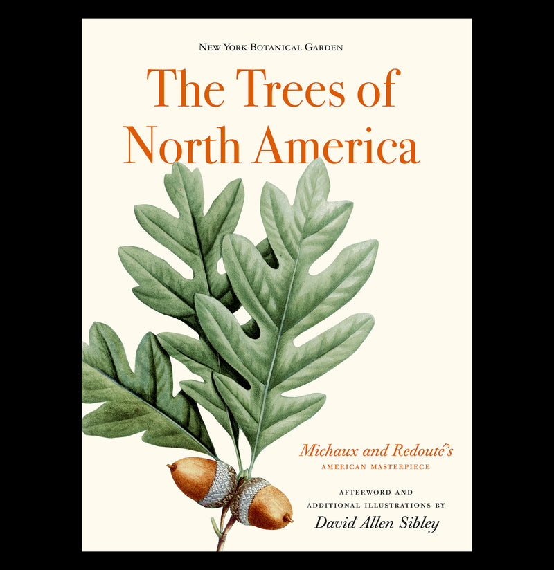The Trees of North America - Paxton Gate