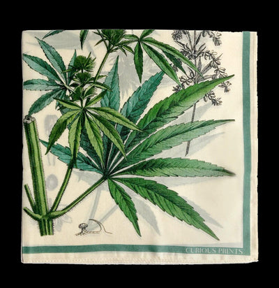 Botanical Marijuana Cannabis Silk Chiffon Scarf - Paxton Gate