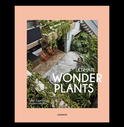 Ultimate Wonder Plant: Your Urban Jungle Interior - Paxton Gate