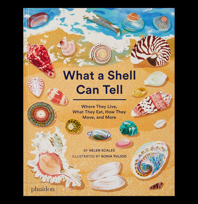 What A Shell Can Tell - Paxton Gate