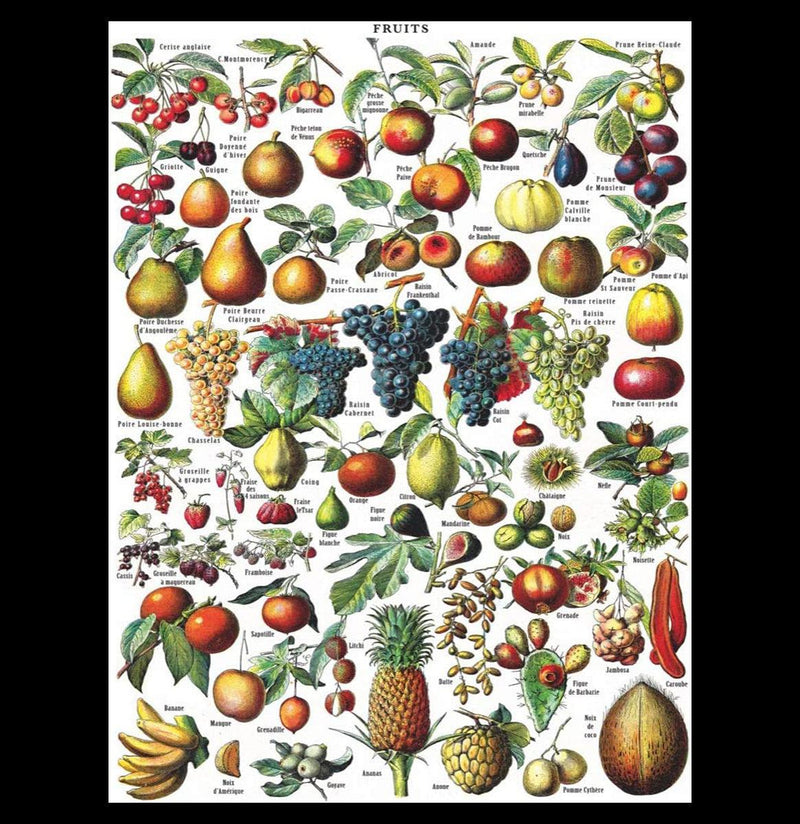 1000 Piece Fruits Jigsaw Puzzle - Paxton Gate