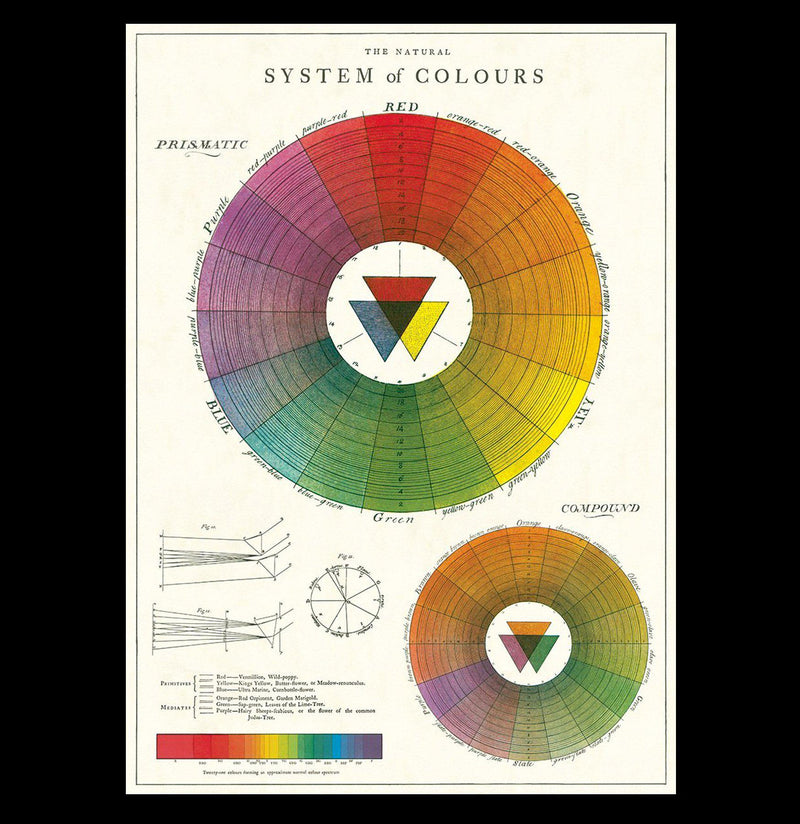 Color Wheel Poster Wrap - Paxton Gate