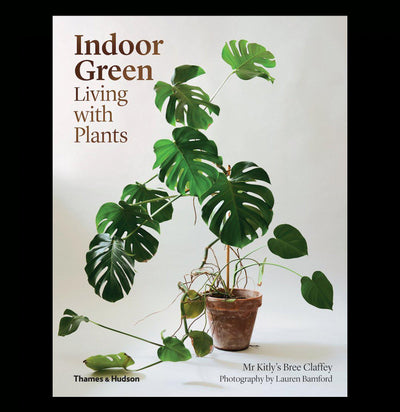 Indoor Green: Living With Plants - Paxton Gate