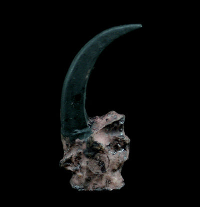 Faux Resin Eagle Claw - Paxton Gate