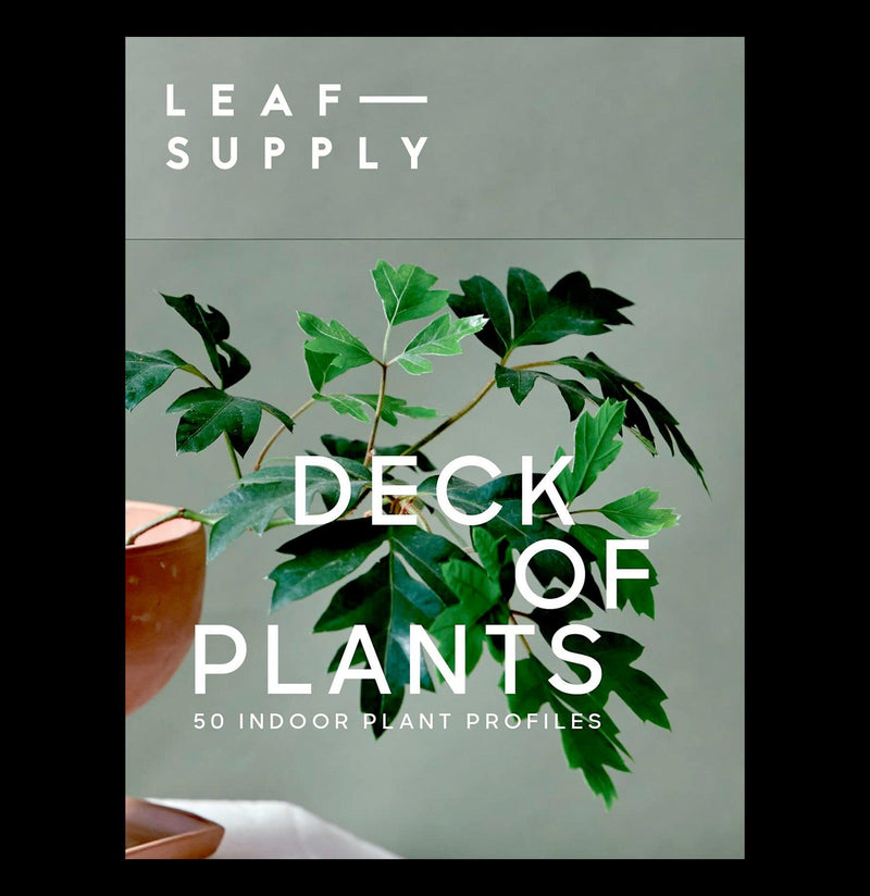Leaf Supply Deck of Plants - Paxton Gate
