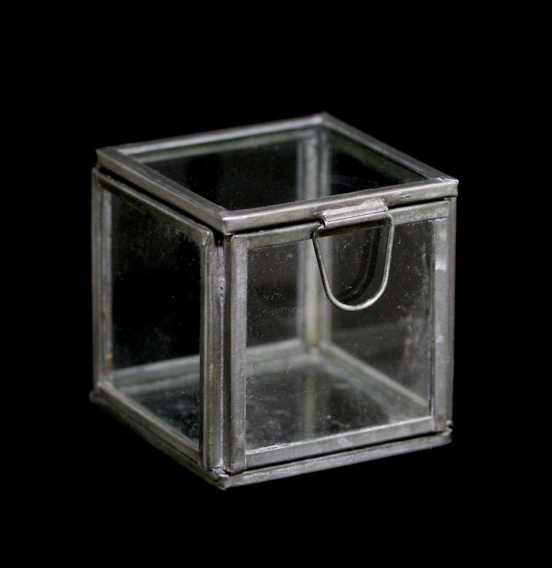 Pierre Demi Glass Box - Paxton Gate