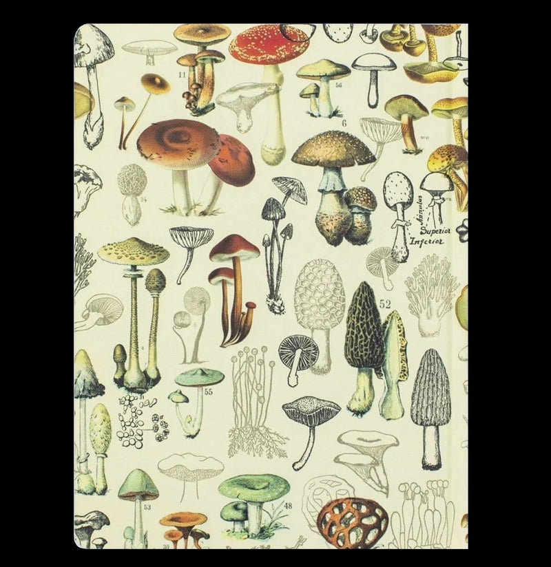 Mushrooms Hardcover Lined & Grid Notebook - Paxton Gate