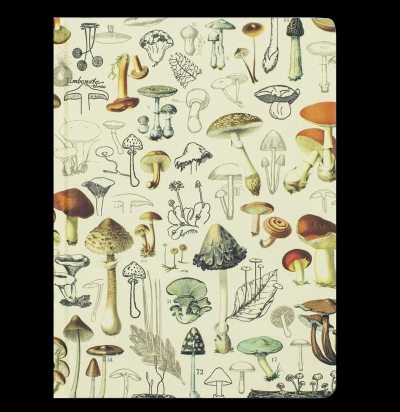Mushrooms Hardcover Lined & Grid Notebook - Paxton Gate