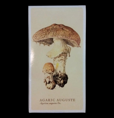 Mushroom Matches - Paxton Gate