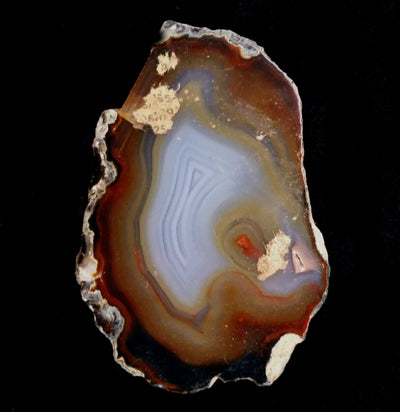 Cut and Polished Agate Slab - Paxton Gate