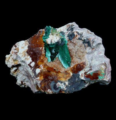 Azurite With Malachite Crystal Cluster - Paxton Gate