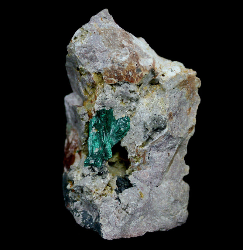Azurite With Malachite Crystal Cluster - Paxton Gate