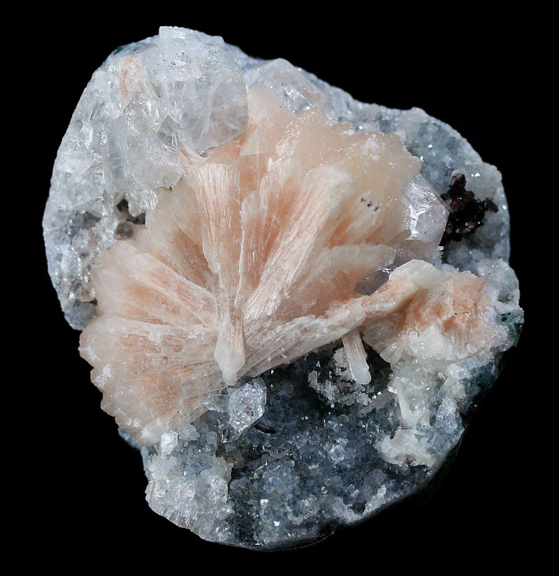 Zeolite Crystal Cluster - Paxton Gate