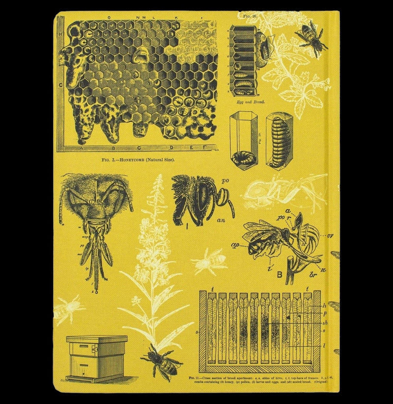 Bee Hardcover Dot Grid Notebook - Paxton Gate