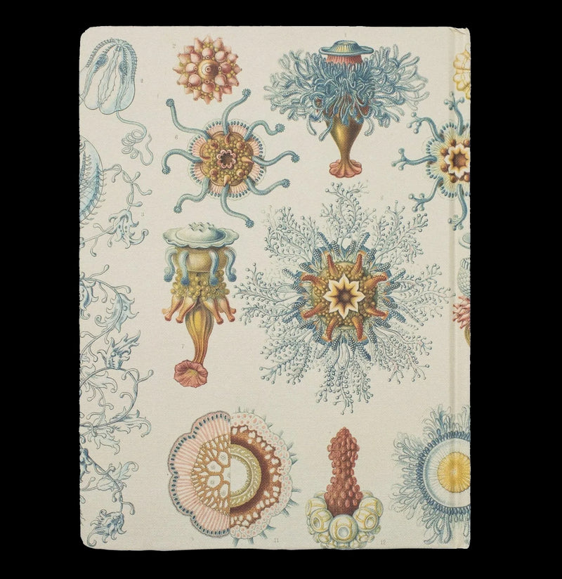 Haeckel Jellyfish Hardcover Line and Grid Notebook - Paxton Gate