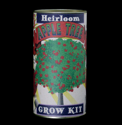 Apple Tree Seed Grow Kit - Paxton Gate