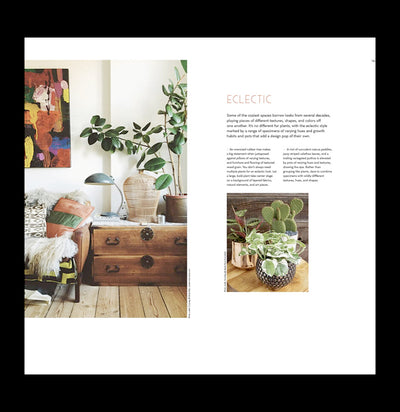 The Inspired Houseplant - Paxton Gate