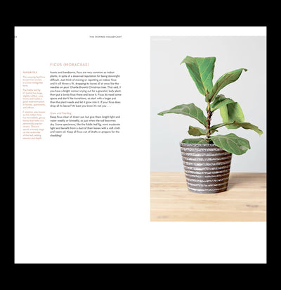 The Inspired Houseplant - Paxton Gate