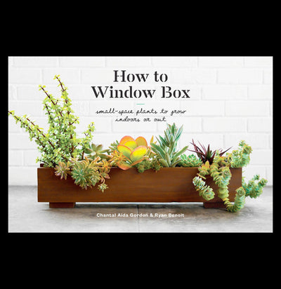 How To Window Box - Paxton Gate