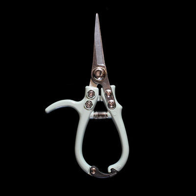 Pruning Shears - Paxton Gate
