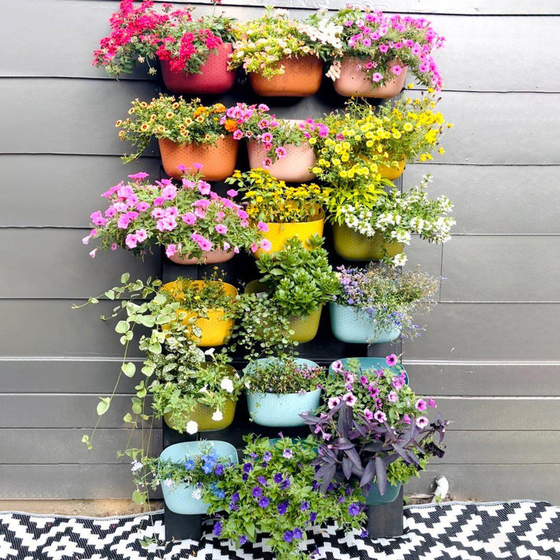 Eco Wall Planter - Paxton Gate