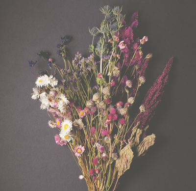 Cut and Dry: The Modern Guide to Dried Flowers from Growing to Styling - Paxton Gate