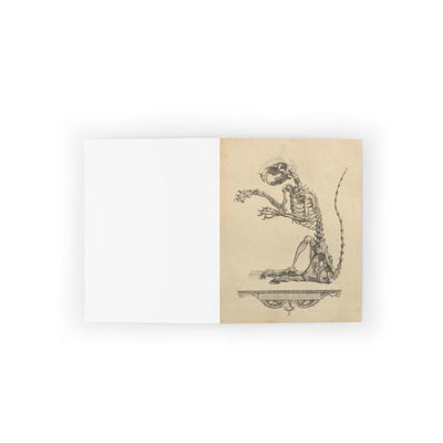 Fancy Rat Skeleton Greeting Card Pack - Paxton Gate