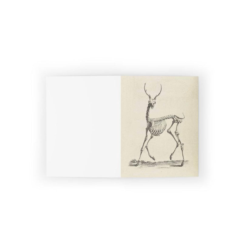 Deer Skeleton Greeting Card Pack - Paxton Gate