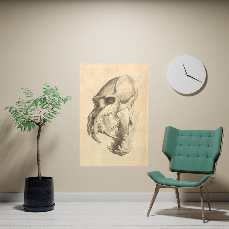 Ape Skull Matte Posters - Paxton Gate