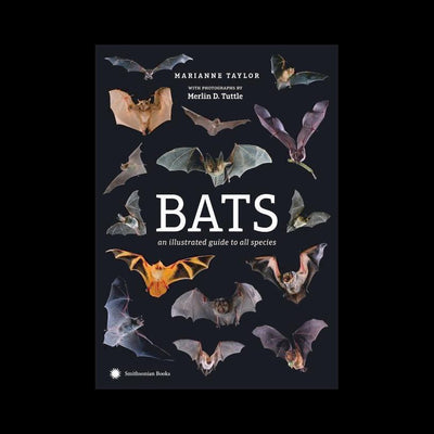 Bats: An Illustrated Guide to All Species - Paxton Gate