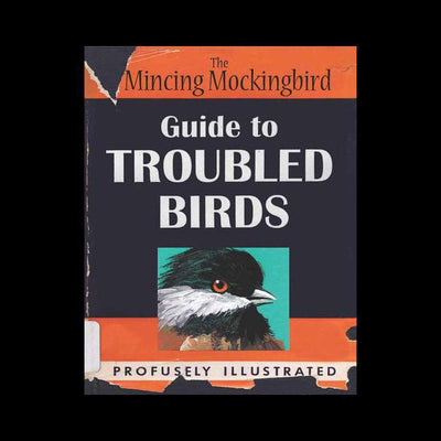 The Mincing Mockingbird Guide to Troubled Birds - Paxton Gate