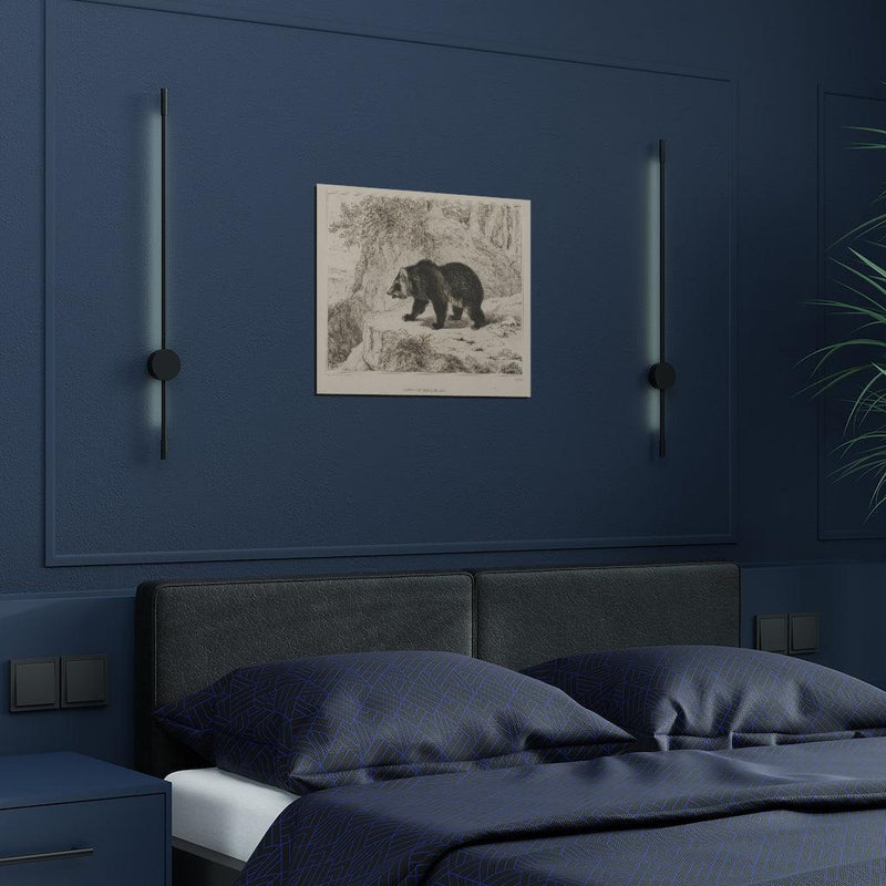 Mississippi Bear Satin Posters - Paxton Gate