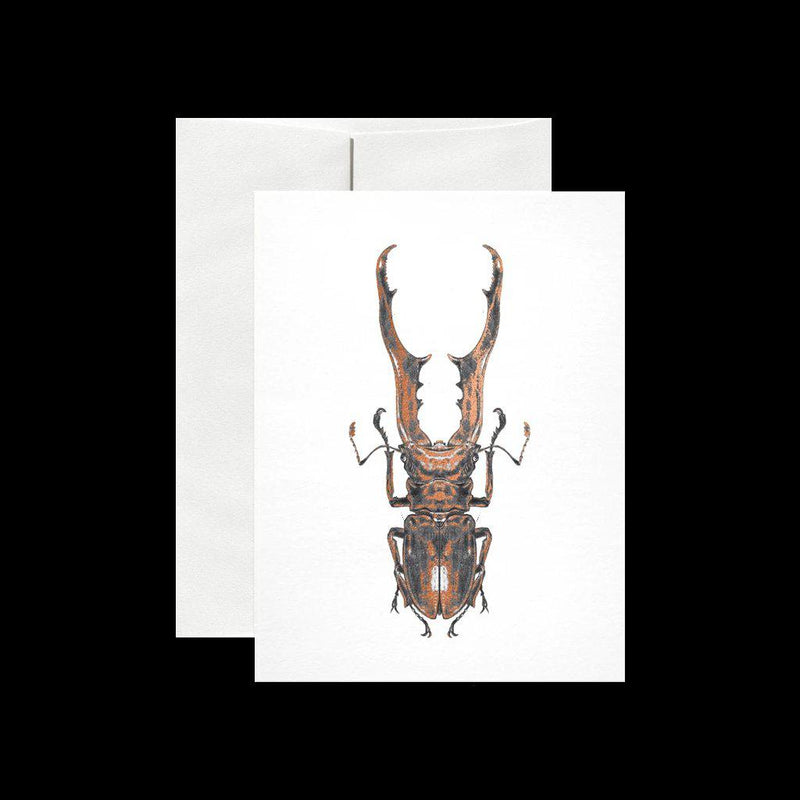 Stag Beetle Card - Paxton Gate