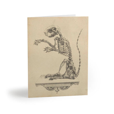 Fancy Rat Skeleton Greeting Card Pack - Paxton Gate