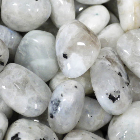 Tumbled Moonstone - Paxton Gate