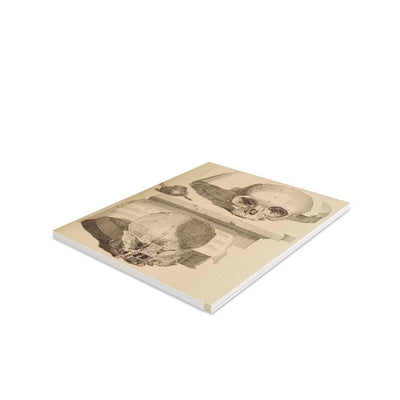 Bisected Human Skull Greeting Card Pack - Paxton Gate