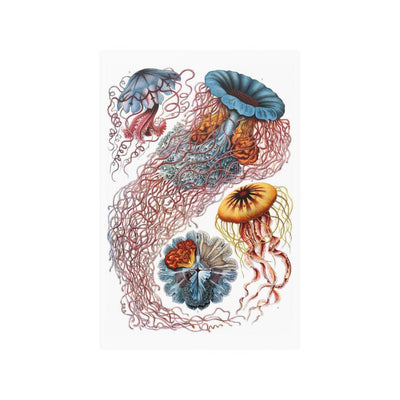 Ernst Haeckel's Art Forms In Nature: Discomedusae Satin Posters - Paxton Gate