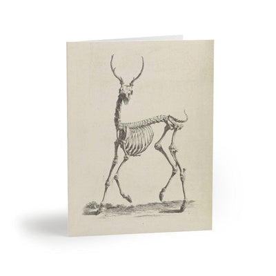Deer Skeleton Greeting Card Pack - Paxton Gate