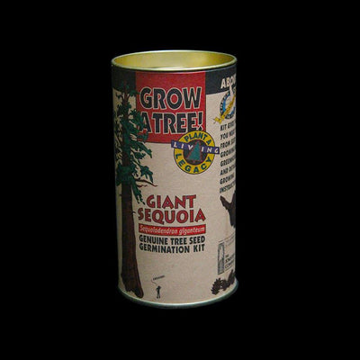 Giant Sequoia Seed Grow Kit - Paxton Gate