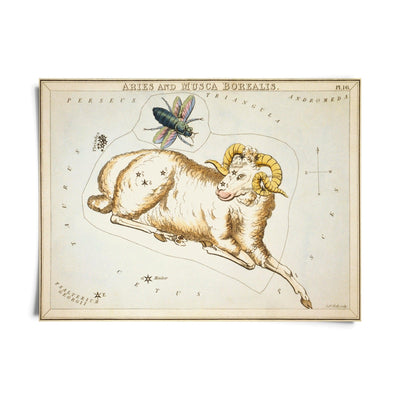 Vintage Zodiac Sign Astrology Print - Paxton Gate